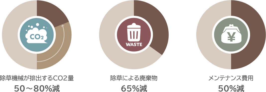 クラピア地と芝地の年間比較